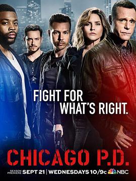 芝加哥警署第四季 第05集